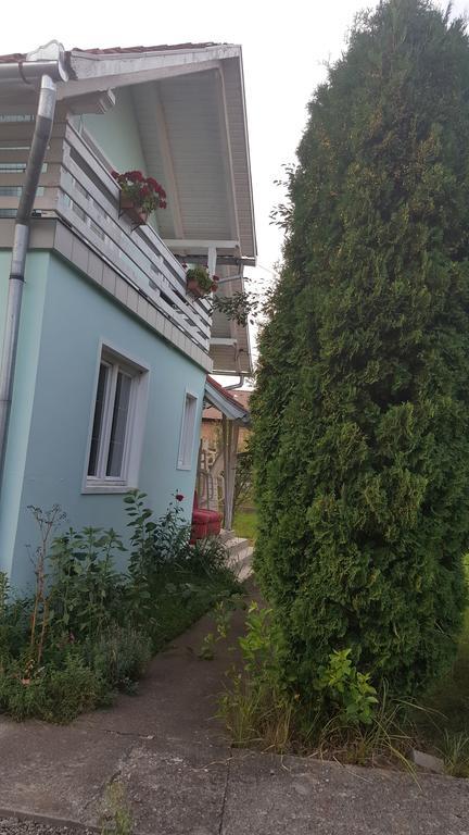 Willa Casa Cristina Sovata Zewnętrze zdjęcie